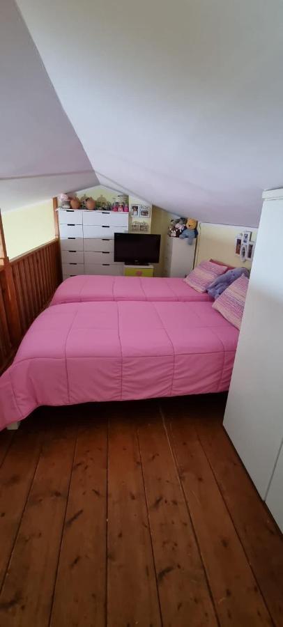 Magic Dalu Con Posto Auto Apartment ออลเบีย ภายนอก รูปภาพ